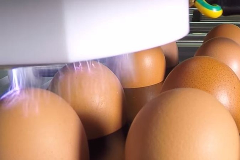 Atmospheric-plasma-egg-sterilization-technology.jpg