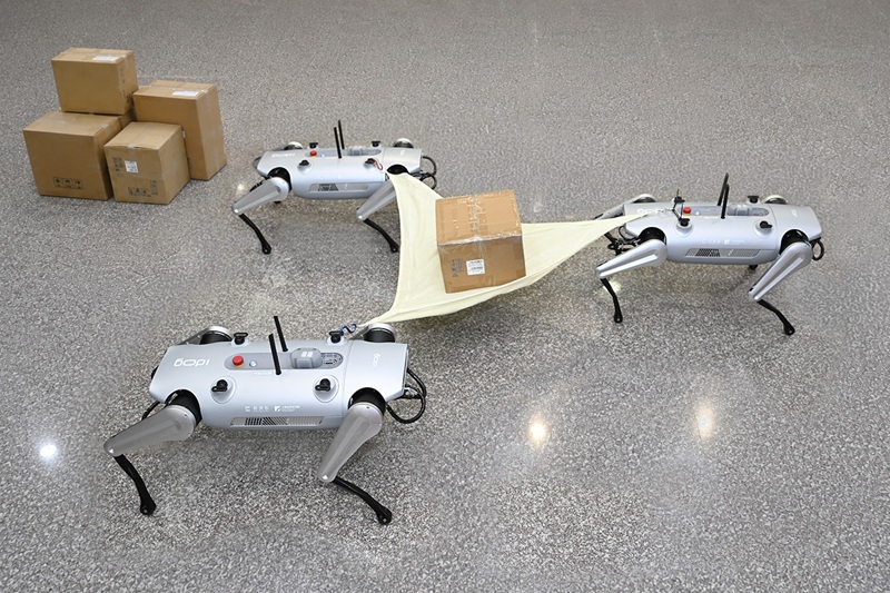 三隻國產四足機器人透過群體協作共同搬運物資，展現多機協同、任務分工及物資補給能力。