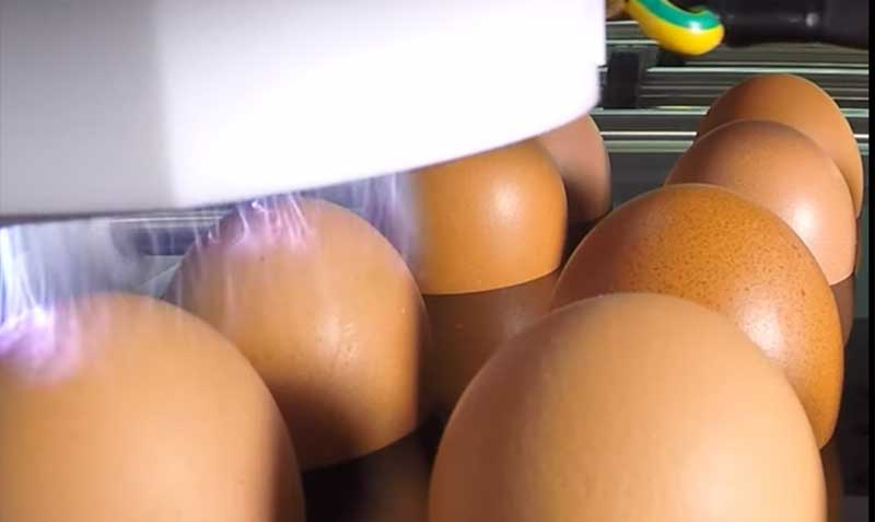 Atmospheric-plasma-egg-sterilization-technology.jpg